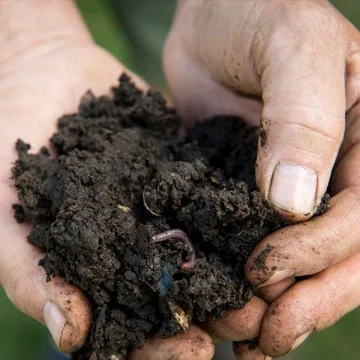 COMPOST FOGGER - 1,5kg - 100% orgánico por Cuxin DCM - Minigran - Imagen 2